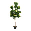 Sztuczne drzewo cytrynowe 120 cm Sztuczne drzewo cytrynowe 120 cm