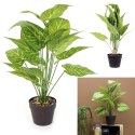 Sztuczna roślina Alocasia 55cm Sztuczna roślina Alocasia 55cm