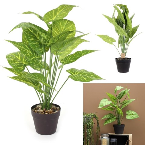 Sztuczna roślina Alocasia 55cm Sztuczna roślina Alocasia 55cm