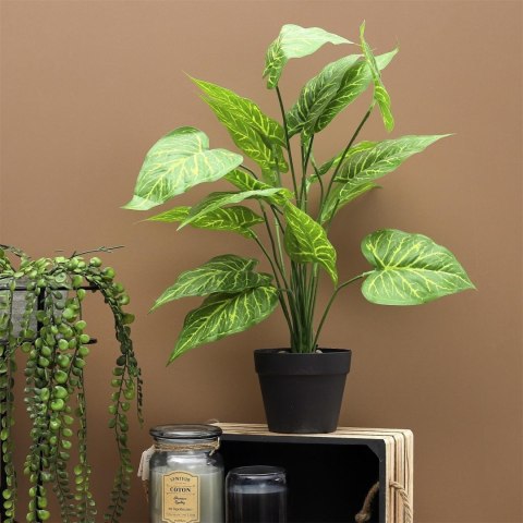Sztuczna roślina Alocasia 55cm Sztuczna roślina Alocasia 55cm
