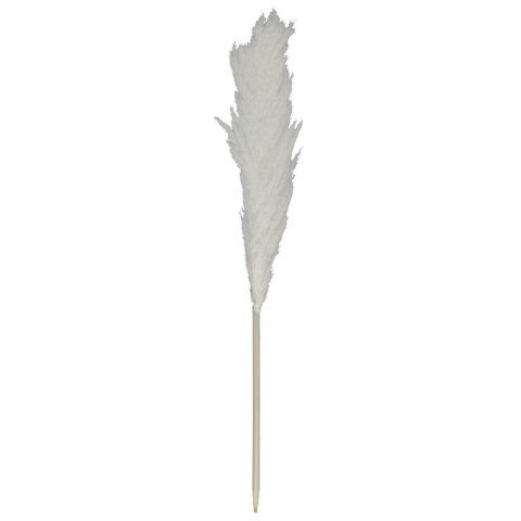 Naturalna trawa Pampasowa 120cm Naturalna trawa Pampasowa 120cm