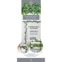 Girlanda sztuczny bluszcz 230cm Girlanda sztuczny bluszcz 230cm