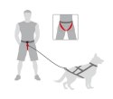 Dingo Pas Do Biegania Z Psem Obwód Do 120cm Dingo Pas Do Biegania Z Psem Obwód Do 120cm