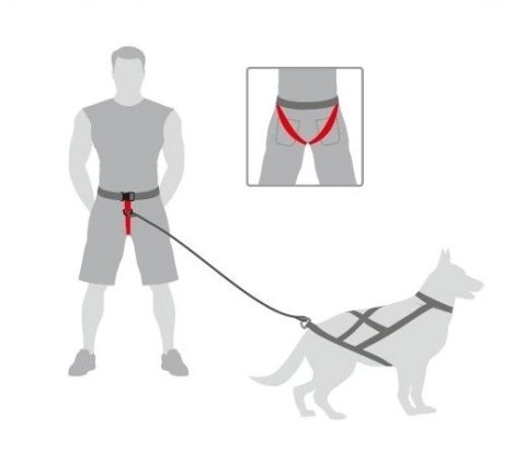 Dingo Pas Do Biegania Z Psem Obwód Do 120cm Dingo Pas Do Biegania Z Psem Obwód Do 120cm