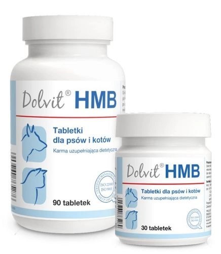 Dolfos Dolvit HMB 90 Tabletek Dolfos Dolvit HMB 90 Tabletek