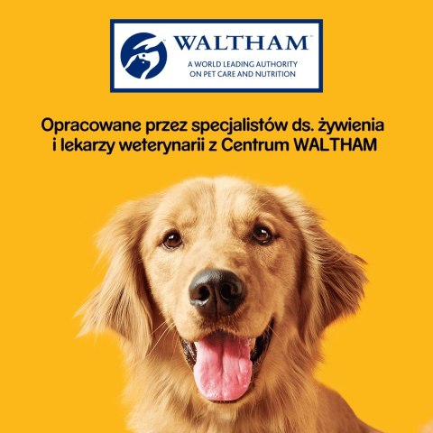 Pedigree Jumbone Przysmak Dla Dorosłych Psów Średniej Wielkości Z Wołowiną 180g Pedigree Jumbone Przysmak Dla Dorosłych Psów Średniej Wielkości Z Wołowiną 180g