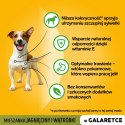 Pedigree Mokra Karma Dla Dorosłych Psów Z Jagnięciną W Galaretce 100g Pedigree Mokra Karma Dla Dorosłych Psów Z Jagnięciną W Galaretce 100g