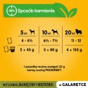 Pedigree Mokra Karma Dla Dorosłych Psów Z Jagnięciną W Galaretce 100g Pedigree Mokra Karma Dla Dorosłych Psów Z Jagnięciną W Galaretce 100g