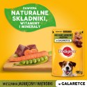 Pedigree Mokra Karma Dla Dorosłych Psów Z Jagnięciną W Galaretce 100g Pedigree Mokra Karma Dla Dorosłych Psów Z Jagnięciną W Galaretce 100g