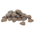 Purina Pro Plan Medium Adult Optibalance Kurczak I Ryż 14kg Purina Pro Plan Medium Adult Optibalance Kurczak I Ryż 14kg
