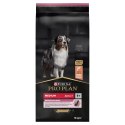 Purina Pro Plan Medium Adult Sensitive Skin Optiderma Łosoś I Ryż 14kg Purina Pro Plan Medium Adult Sensitive Skin Optiderma Łosoś I Ryż 14kg