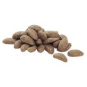 Purina Pro Plan Medium Adult Sensitive Skin Optiderma Łosoś I Ryż 14kg Purina Pro Plan Medium Adult Sensitive Skin Optiderma Łosoś I Ryż 14kg
