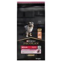 Purina Pro Plan Medium Puppy Sensitive Optiderma Łosoś I Ryż 12kg Purina Pro Plan Medium Puppy Sensitive Optiderma Łosoś I Ryż 12kg