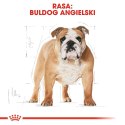 ROYAL CANIN Bulldog Adult 12kg ROYAL CANIN Bulldog Adult 12kg