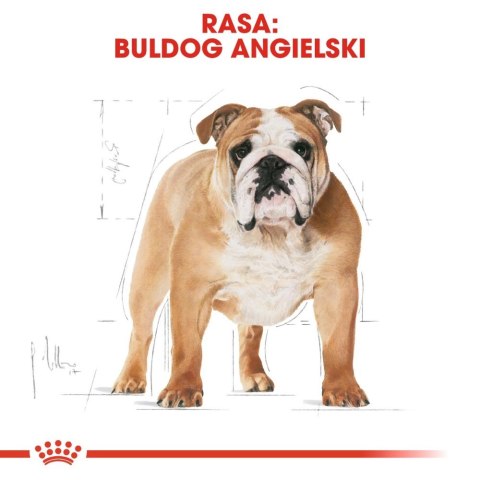 ROYAL CANIN Bulldog Adult 12kg ROYAL CANIN Bulldog Adult 12kg