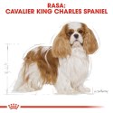 ROYAL CANIN Cavalier King Charles Spaniel Adult 1,5kg ROYAL CANIN Cavalier King Charles Spaniel Adult 1,5kg