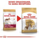 ROYAL CANIN Cavalier King Charles Spaniel Adult 1,5kg ROYAL CANIN Cavalier King Charles Spaniel Adult 1,5kg