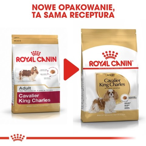 ROYAL CANIN Cavalier King Charles Spaniel Adult 1,5kg ROYAL CANIN Cavalier King Charles Spaniel Adult 1,5kg