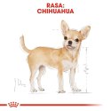 ROYAL CANIN Chihuahua Adult 12x85g ROYAL CANIN Chihuahua Adult 12x85g