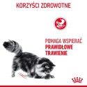 ROYAL CANIN Digest Sensitive 12x85g ROYAL CANIN Digest Sensitive 12x85g