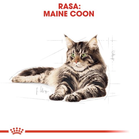 ROYAL CANIN Maine Coon Adult 12x85g ROYAL CANIN Maine Coon Adult 12x85g