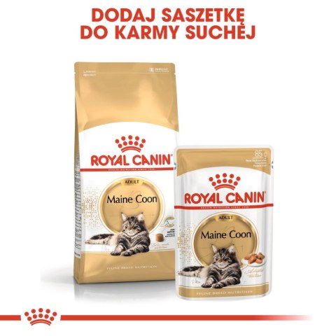 ROYAL CANIN Maine Coon Adult 12x85g ROYAL CANIN Maine Coon Adult 12x85g