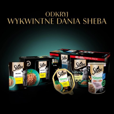 Sheba Saszetka Delicacy In Jelly Smaki Drobiowe 4x85g Sheba Saszetka Delicacy In Jelly Smaki Drobiowe 4x85g