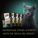 Sheba Saszetka Delicacy In Jelly Smaki Drobiowe 4x85g Sheba Saszetka Delicacy In Jelly Smaki Drobiowe 4x85g