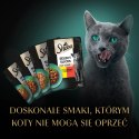 Sheba Saszetka Selection In Sauce Soczyste Smaki 4x85g Sheba Saszetka Selection In Sauce Soczyste Smaki 4x85g