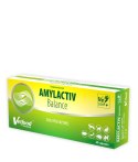 VETFOOD Amylactiv Balance 60tab VETFOOD Amylactiv Balance 60tab