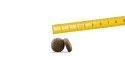 Josera Lachs & Kartoffel 900g Josera Lachs & Kartoffel 900g