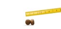 Josera YoungStar 900g Josera YoungStar 900g