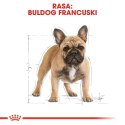 ROYAL CANIN French Bulldog Adult 9kg ROYAL CANIN French Bulldog Adult 9kg