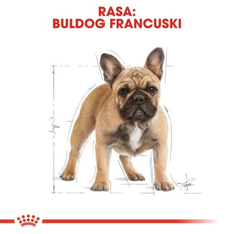 ROYAL CANIN French Bulldog Adult 9kg ROYAL CANIN French Bulldog Adult 9kg