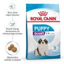 ROYAL CANIN Giant Puppy 15kg ROYAL CANIN Giant Puppy 15kg