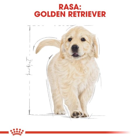 ROYAL CANIN Golden Retriever Puppy 12kg ROYAL CANIN Golden Retriever Puppy 12kg