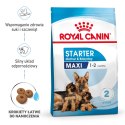 ROYAL CANIN Maxi Starter Mother & Babydog 15kg ROYAL CANIN Maxi Starter Mother & Babydog 15kg