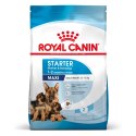 ROYAL CANIN Maxi Starter Mother & Babydog 15kg ROYAL CANIN Maxi Starter Mother & Babydog 15kg