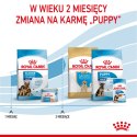 ROYAL CANIN Maxi Starter Mother & Babydog 15kg ROYAL CANIN Maxi Starter Mother & Babydog 15kg