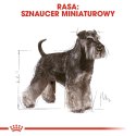 ROYAL CANIN Miniature Schnauzer Adult 3kg ROYAL CANIN Miniature Schnauzer Adult 3kg