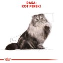 ROYAL CANIN Persian Adult 10kg ROYAL CANIN Persian Adult 10kg