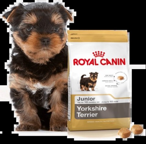 ROYAL CANIN Yorkshire Terrier Puppy 1,5kg ROYAL CANIN Yorkshire Terrier Puppy 1,5kg