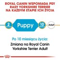 ROYAL CANIN Yorkshire Terrier Puppy 1,5kg ROYAL CANIN Yorkshire Terrier Puppy 1,5kg