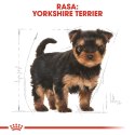 ROYAL CANIN Yorkshire Terrier Puppy 1,5kg ROYAL CANIN Yorkshire Terrier Puppy 1,5kg