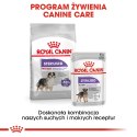 ROYAL CANIN CCN Medium Sterilised 3kg ROYAL CANIN CCN Medium Sterilised 3kg