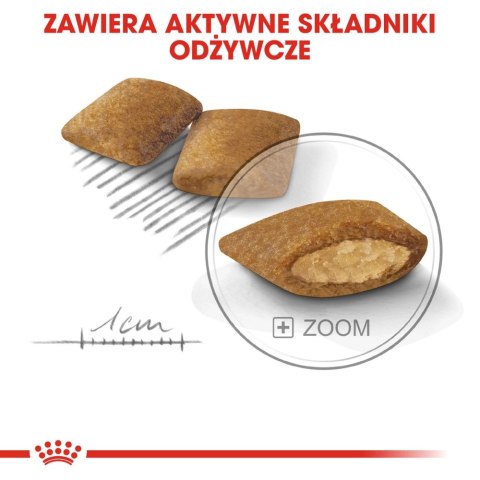 ROYAL CANIN CCN Mini Exigent 3kg ROYAL CANIN CCN Mini Exigent 3kg
