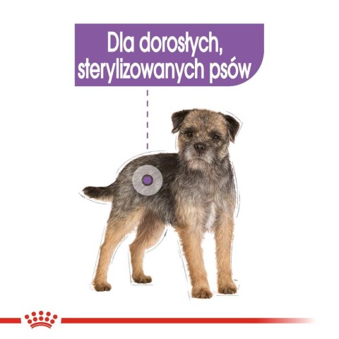 ROYAL CANIN CCN Sterilised Mini Pasztet 12x85g ROYAL CANIN CCN Sterilised Mini Pasztet 12x85g