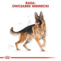 ROYAL CANIN German Shepherd Adult 11kg ROYAL CANIN German Shepherd Adult 11kg