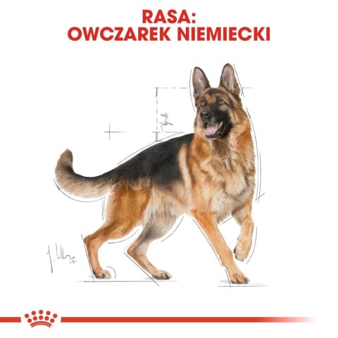 ROYAL CANIN German Shepherd Adult 11kg ROYAL CANIN German Shepherd Adult 11kg