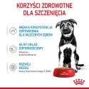 ROYAL CANIN Maxi Puppy 10x140g ROYAL CANIN Maxi Puppy 10x140g